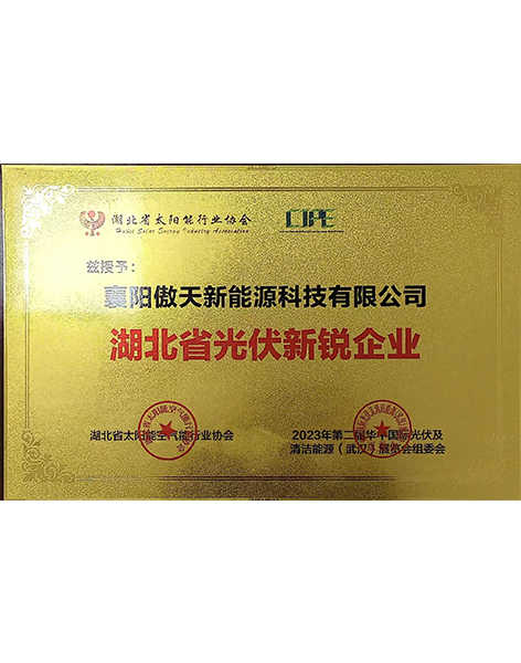 工商業(yè)電站：綠色能源的新引擎